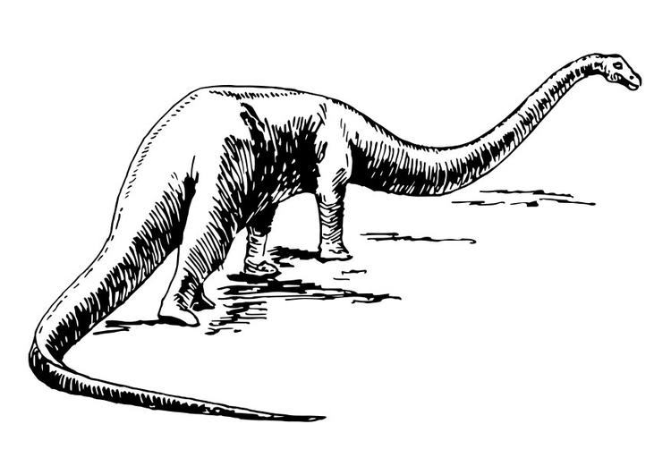 Coloring page dinosaur