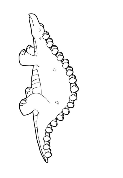 dinosaur