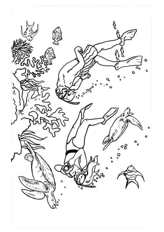 Coloring Page dive - plunge - free printable coloring pages