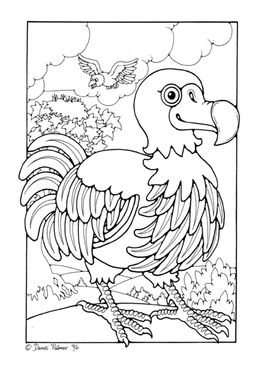 Coloring page dodo