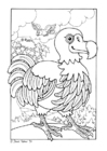 coloring-page dodo