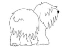 Coloring pages dog - bobtail