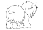 dog - bobtail