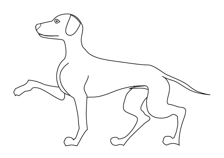 Coloring page dog