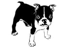 Coloring pages dog - French bulldog