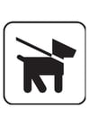 Coloring page dog on lead