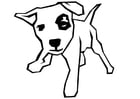 Coloring page dog