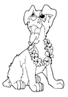 Coloring pages dog