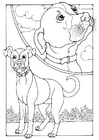 Coloring pages dog