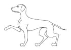 Coloring page dog