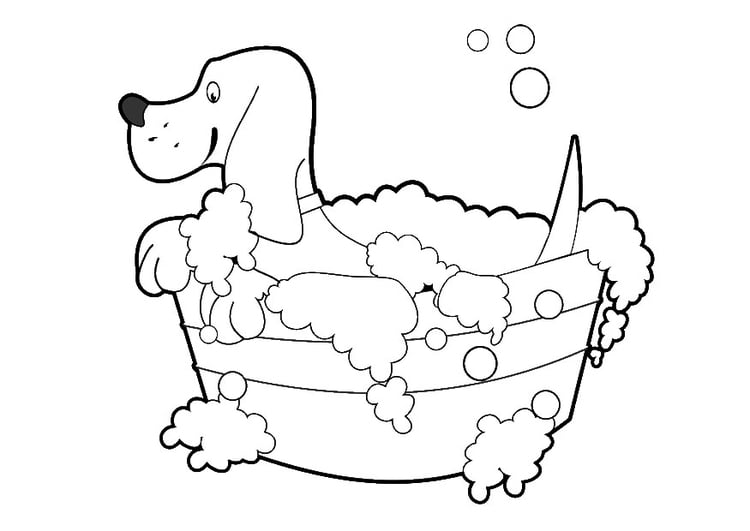 Coloring page dog wash
