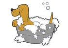 Coloring pages dog wash