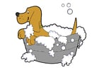 Coloring page dog wash