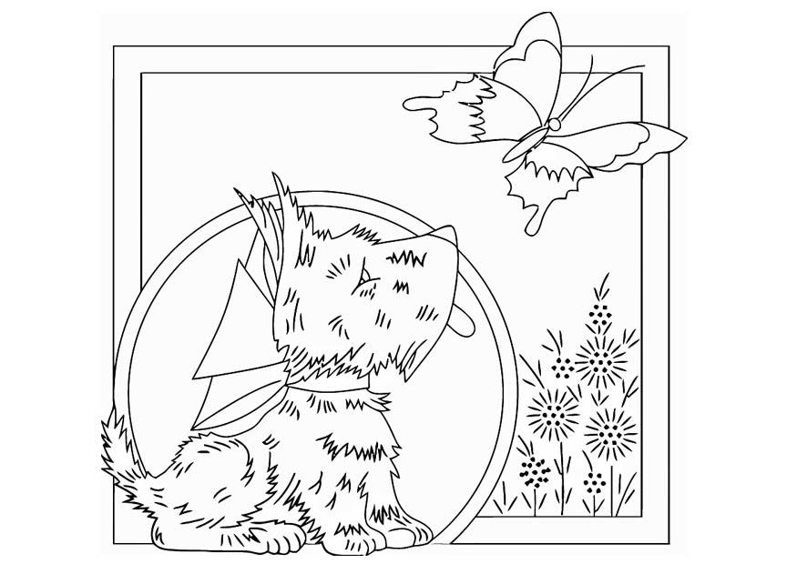 Coloring page dog with butterfly