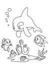 Coloring page dolphin and fish with anchor