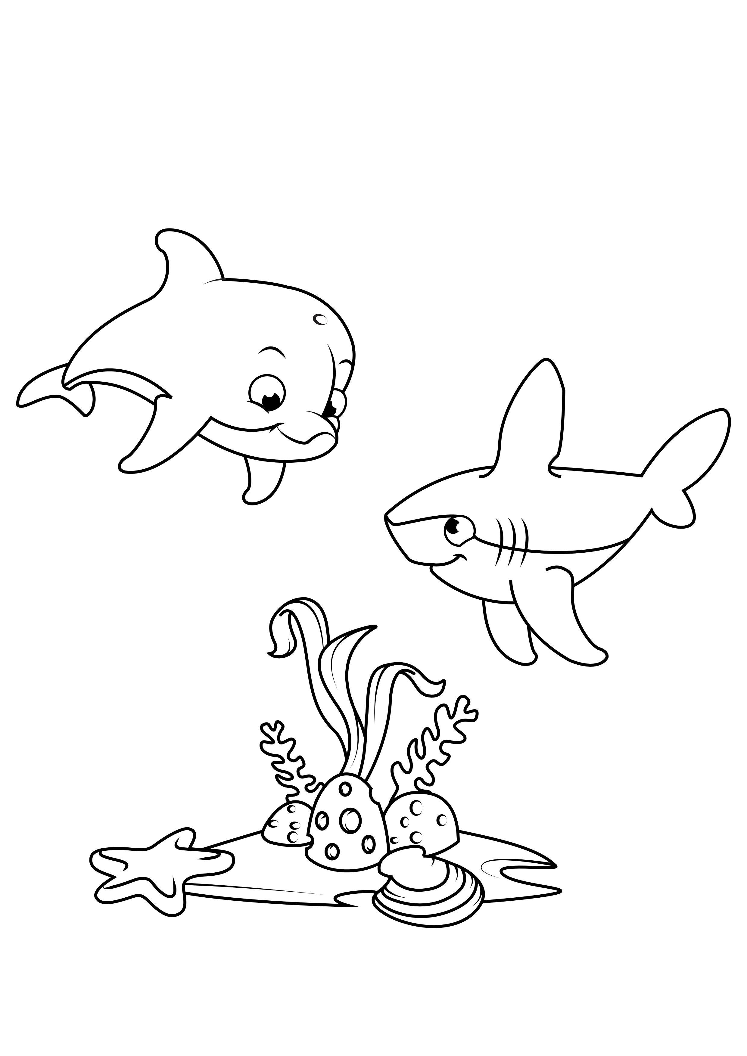 Coloring page dolphin and shark