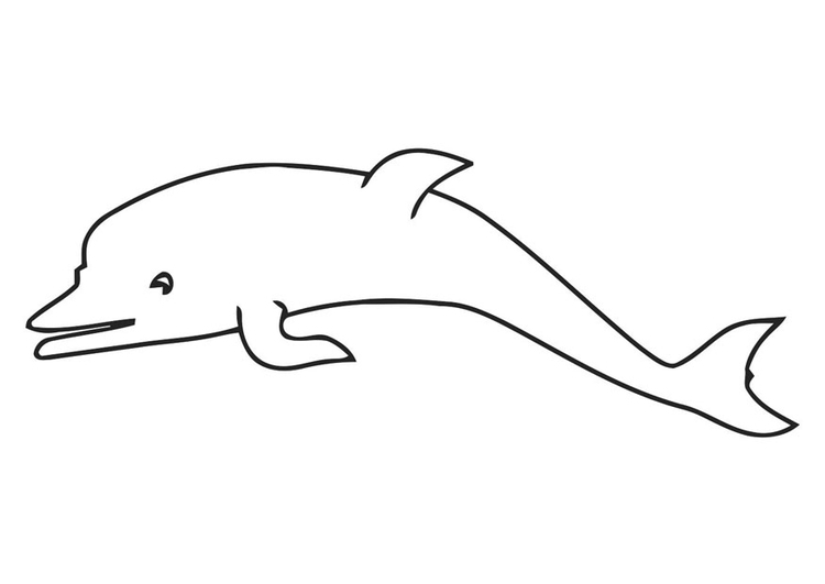 Coloring page dolphin