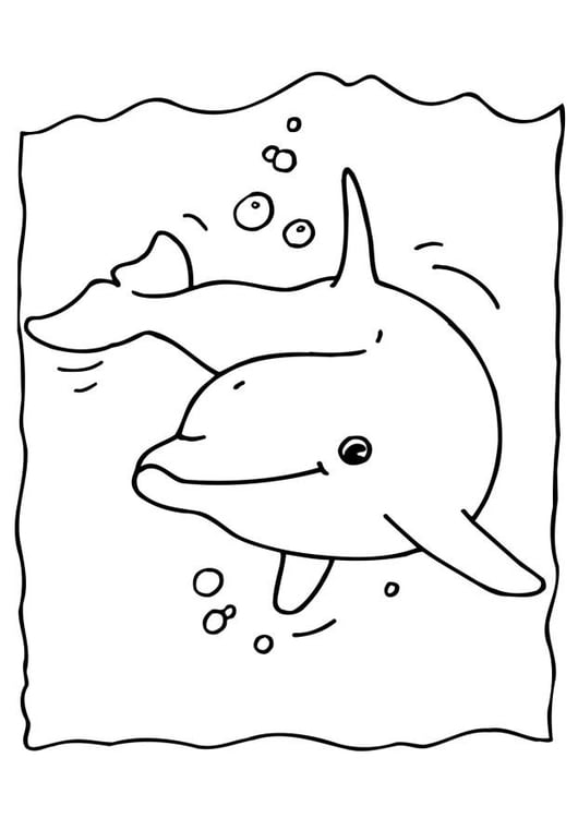 Coloring page dolphin