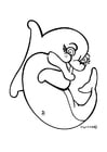 Coloring page dolphin