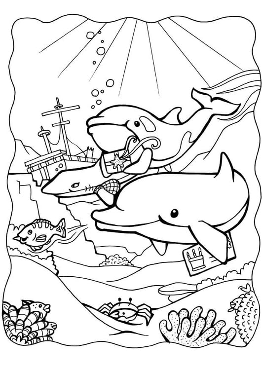Coloring page dolphins 3