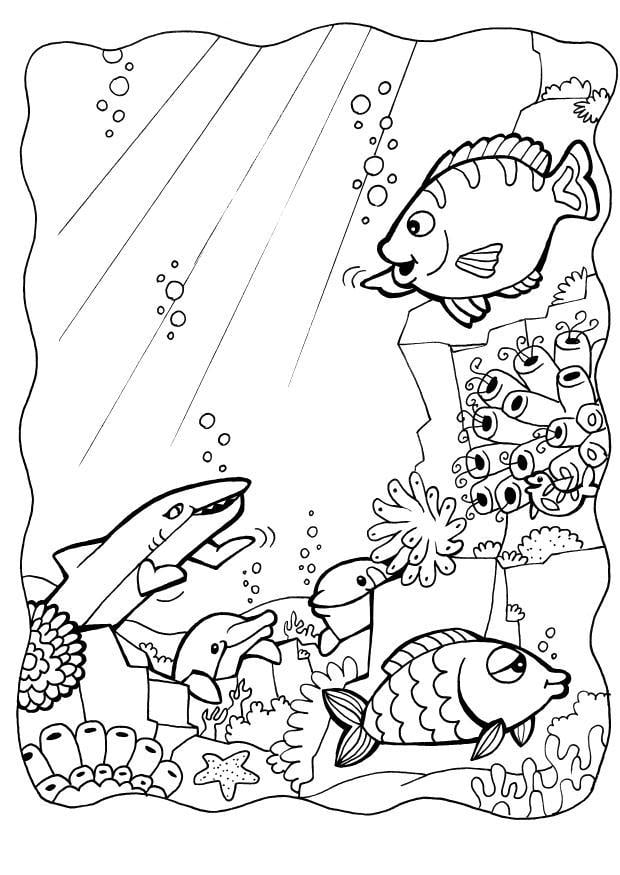 Coloring page dolphins and fish