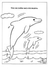 Coloring page dolphins