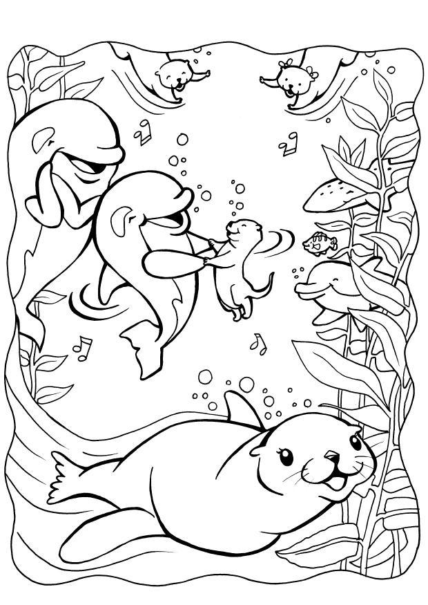 Coloring page dolphins with seal
