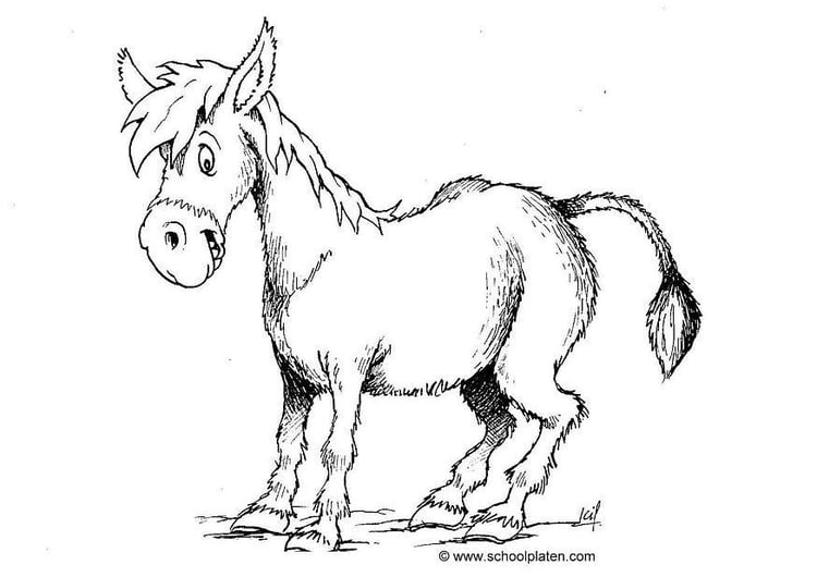 Coloring page donkey