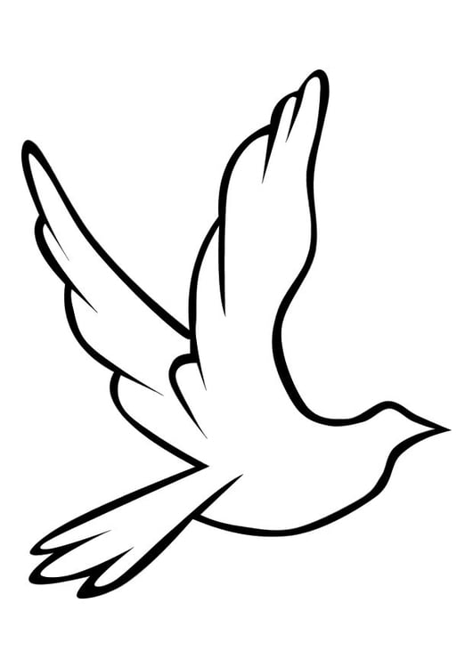 Coloring page dove