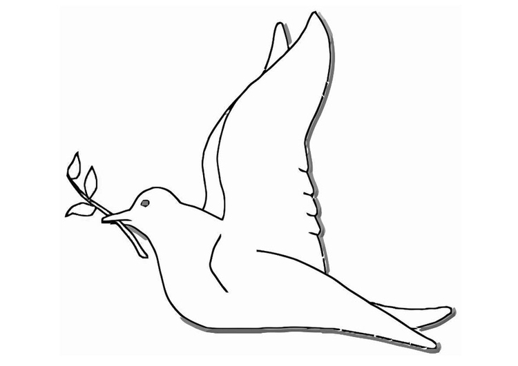 Coloring page dove