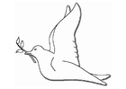 Coloring pages dove