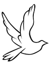 Coloring page dove