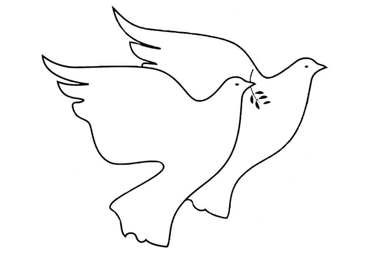 Coloring page doves