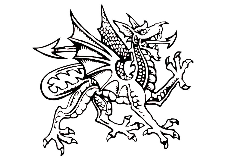 Coloring page dragon