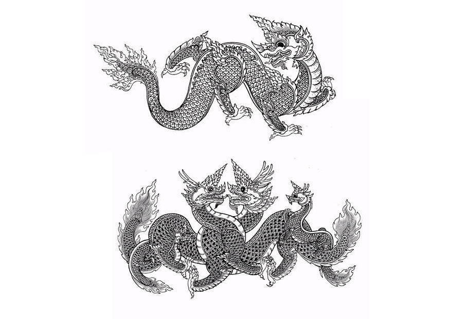 Coloring page dragons