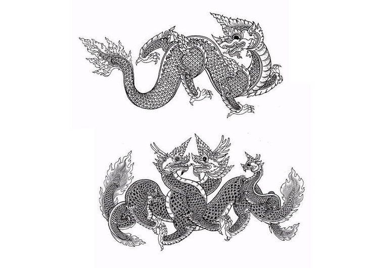 Coloring page dragons