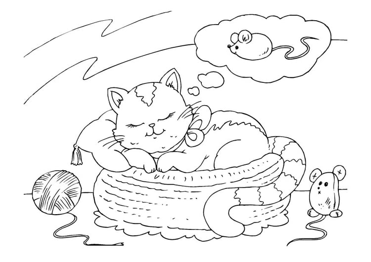 Coloring page dreaming cat