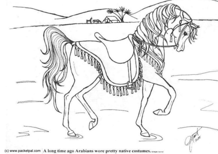 Coloring page dressage