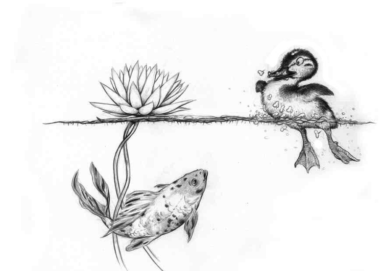 Coloring page duck and fish