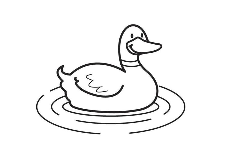 Coloring page Duck