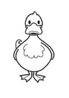 Coloring pages Duck
