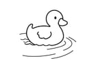 Coloring pages Duckling