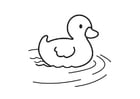 Coloring page Duckling