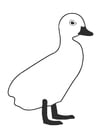 Coloring page duckling