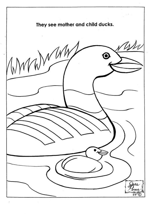 Coloring page ducks