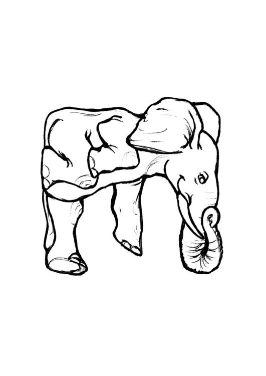 e-elephant