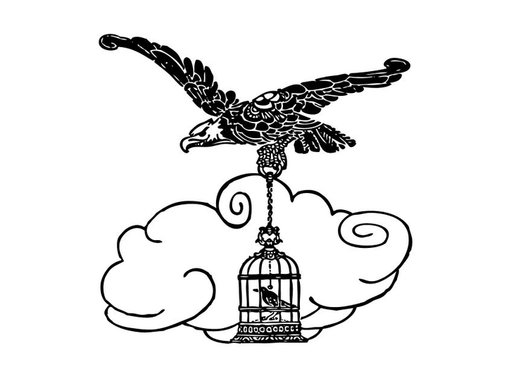 Coloring page eagle and nightengale