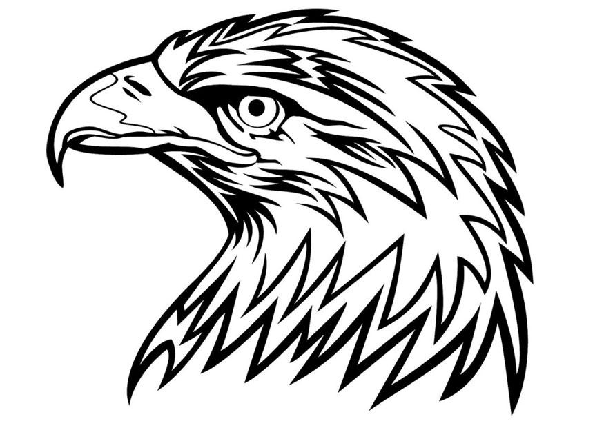 hawk head coloring page