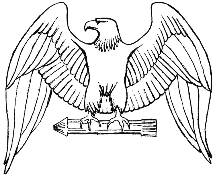 Coloring page eagle