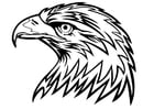 Coloring page eagle